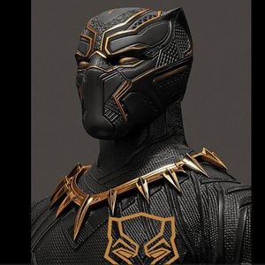 Meet your Posher, Gavin